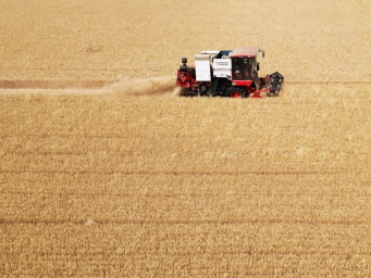 山东：“三夏”大忙进行时