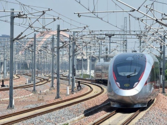 宠物猫狗可坐高铁了！铁路12306推出“宠物托运”功能  高铁宠物托运实行“隔离运输