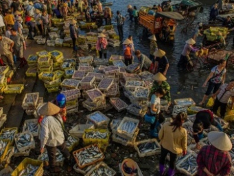 防城港海鲜怎么买？市场攻略都在这